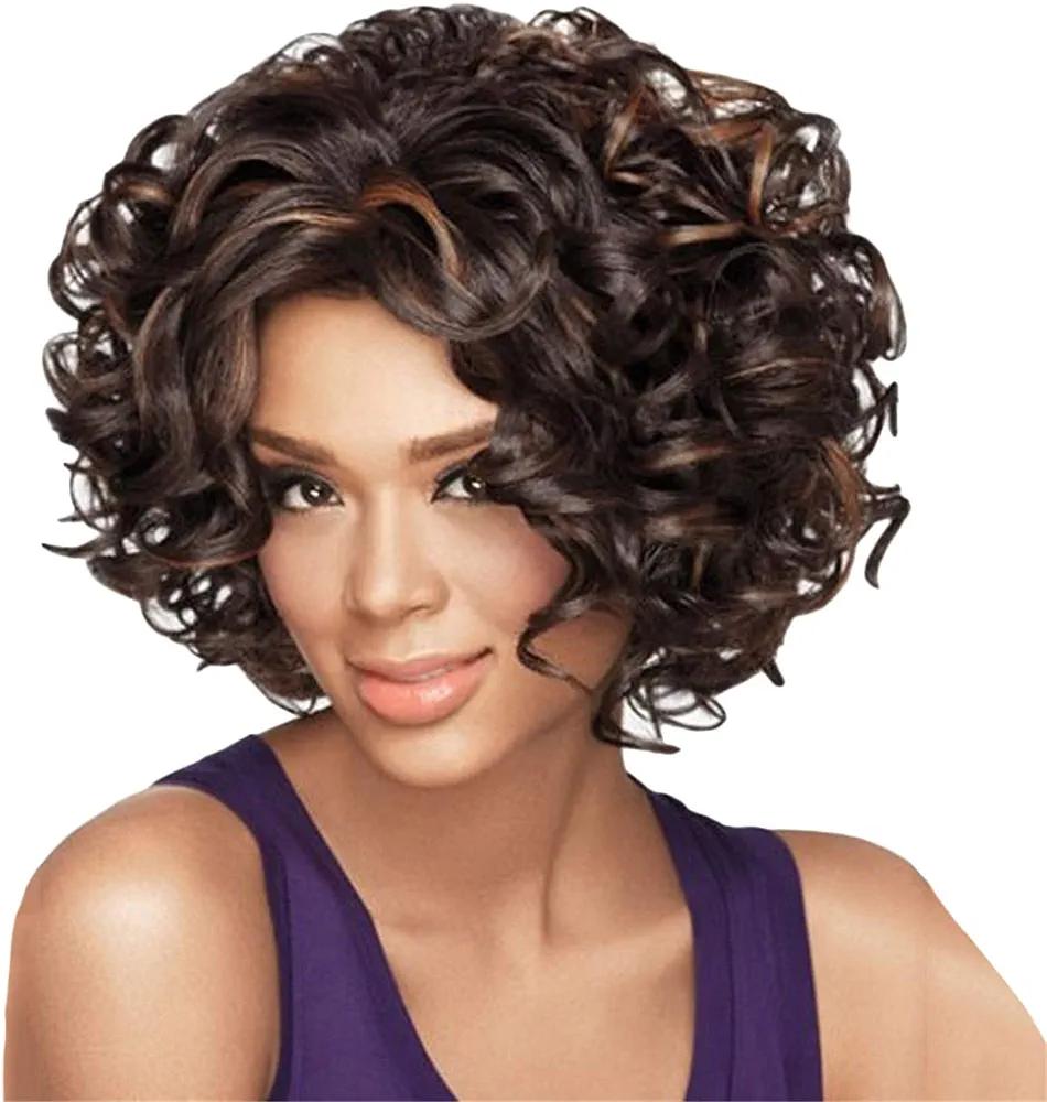 Andongnywell Highlights Human Hair Wigs for Women Short Curly Wigs for Black Women Wigs Natural Color Heat Resistant (Brown,One Size,) - Generic  - Chipi Online